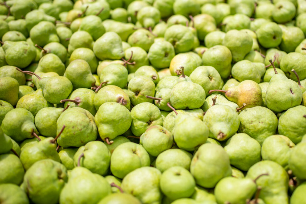 Photo of pears