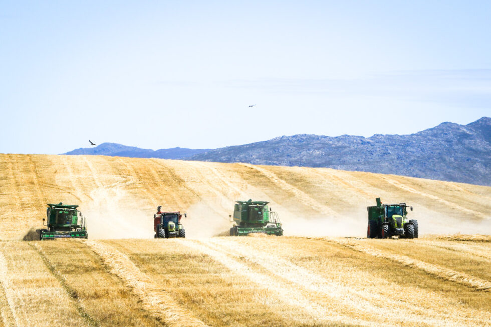 Agricultural photography: Photo of South African farming